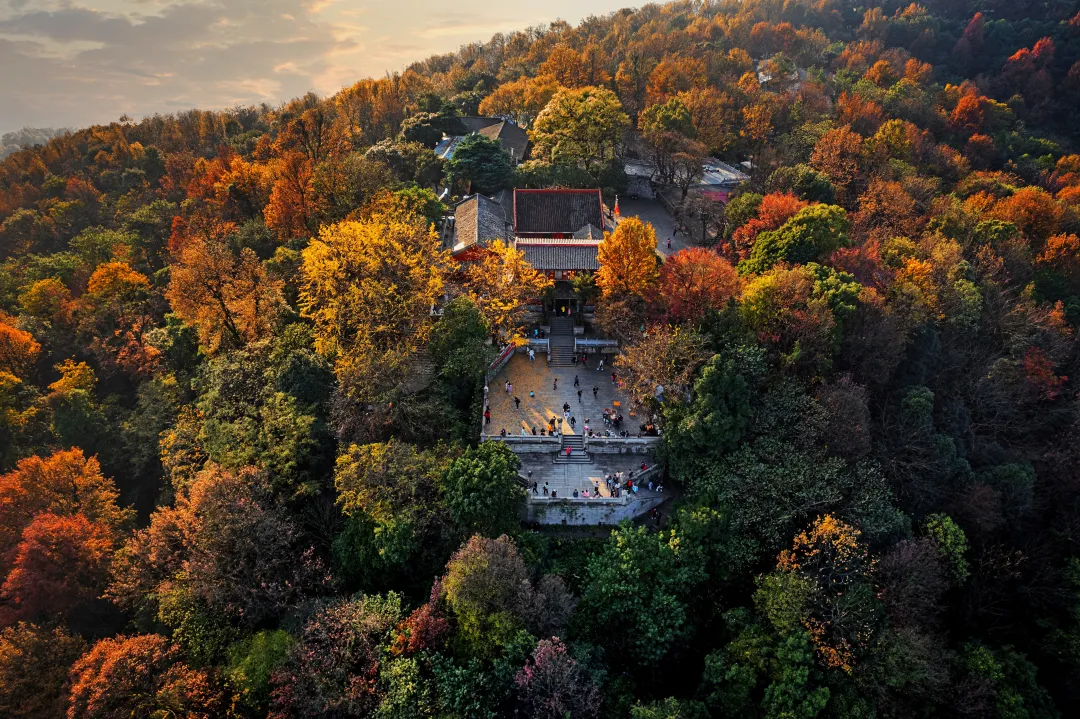 岳麓山