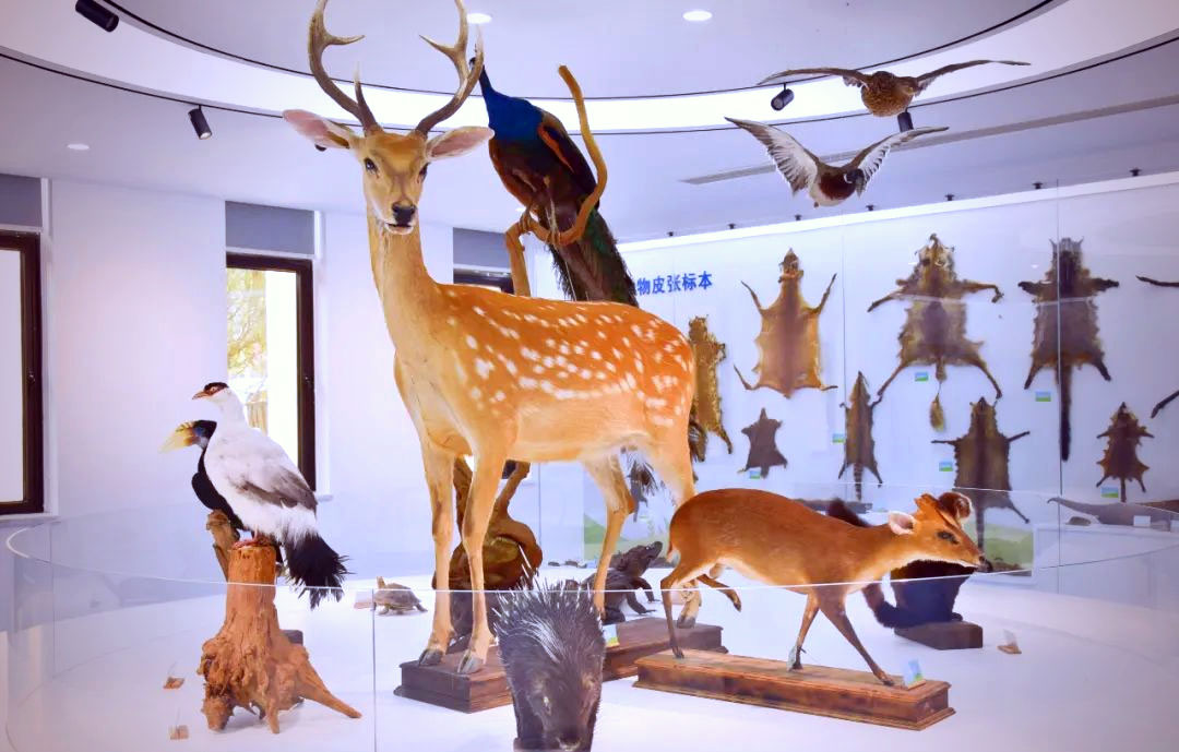 中南大学生物标本馆